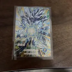 Shumi Collectibles様 リクエスト 2点 まとめ商品