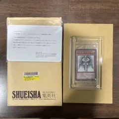 遊戯王 光の創造神 ホルアクティ 応募券 - メルカリ