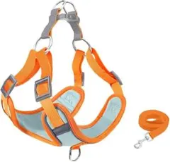 ハーネス ハーネス 小型犬　犬 胴輪 安全首輪 リード セット