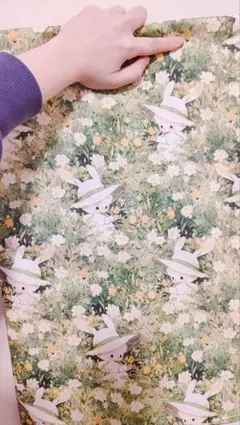 Item thumbnail for item 1c5020ac-2c95-4625-b6f3-c378ed20a4d8