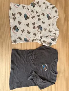 Item thumbnail for item 190a5caa-e8b9-4caa-82d2-dd5312ef6607