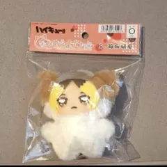 ハイキュー!! ちみけもますこっと 孤爪研磨 ぬいぐるみ マスコット