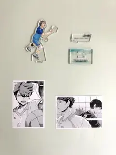 ハイキュー!! 青葉城西高校 及川 徹セット