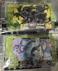 ポケモンフレンダ　ゼクロム　あたり