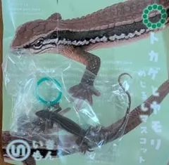ネイチャーテクニカラー トカゲとヤモリめじるしマスコット　ニホンカナヘビ