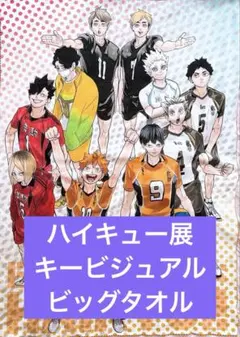 ●ハイキュー展　東京 キービジュアルビッグタオル