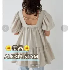 2026年最新】ALEXIA STAM 柄：無地 レディース 半袖ミニワンピースの