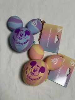 東京ディズニーリゾート　バッグチャームケース