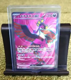 キチキギス　SR
