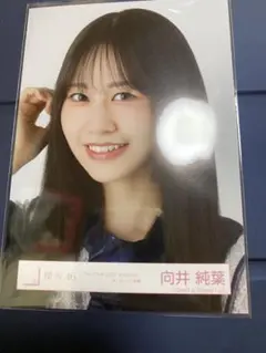 櫻坂46 生写真 4th アニラオープニング衣装 向井純葉 座り - メルカリ