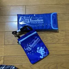 東京ディズニーリゾート バケーションパッケージのサムネイル