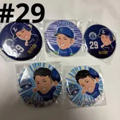 横浜DeNAベイスターズ29.伊藤光選手 5点