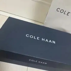 コールハーン アメリカンクラシックス ピンチ ペニーローファー 革靴