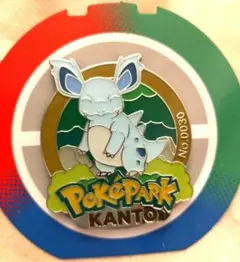 ポケパークカントー ミニリュウ ピンバッジ ポケモン 限定 グッズ