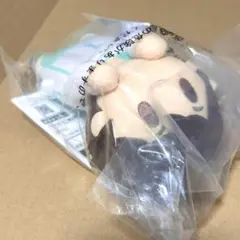 2026年最新】ころんくん ぬいぐるみの人気アイテム - メルカリ