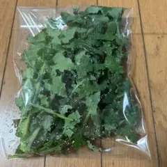 Item thumbnail for item ba6965c0-ec0a-44d1-9213-c54f522eaf84