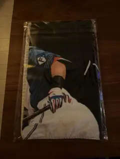 25年9月11日Today's HERO 野村佑希 フェイスタオル