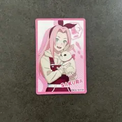 NARUTO ナルト アニマル マグネットシート 春野サクラ