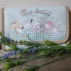 サンリオ　多収納ケース