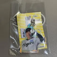 阪神タイガース　めじるしオーロラチャーム　大山