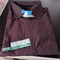 Item thumbnail for item 003935c5-0817-45e0-84ca-a3ad1e2e2afc