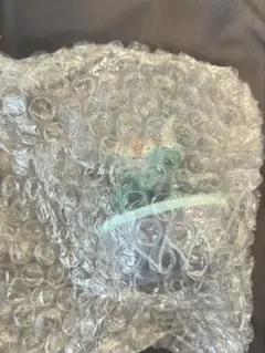 一番くじ　ジョジョの奇妙な冒険　猫草　ストレイ・キャット