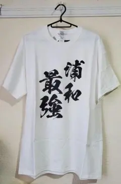 Item thumbnail for item d22736e8-a5fe-4227-825c-94072188bb88