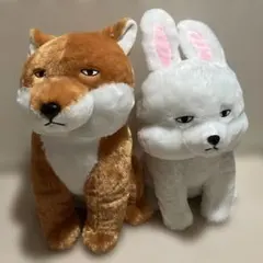 Item thumbnail for item 005d3ef7-70e7-4dc4-a5e4-09dc115eead3