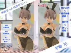 【2個新品未開封！】宇崎ちゃんは遊びたい！/BiCuteBunnies/宇崎花③