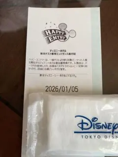 ハッピーエントリー2枚　ディズニーランド、シー　1月5日