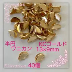 半円ワニカンKC