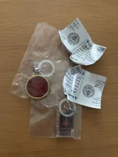 仮面ライダーめじるしアクセサリー2 オーメダル　ラウズカード
