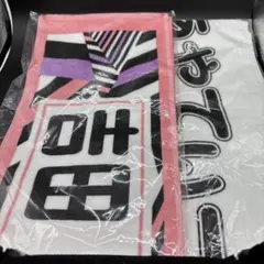 Item thumbnail for item 17fd4843-861a-47ad-b841-5a126e12e9e6