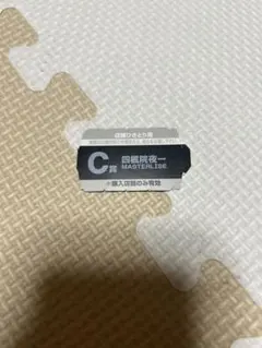 BLEACH 一番くじ C賞 夜一さん 半券