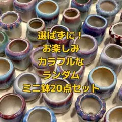 2026年最新】植木鉢 盆栽鉢 山野草鉢の人気アイテム - メルカリ