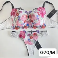 サルート⭐️店舗限定⭐️90G⭐️KO⭐️G70/L上下2点⭐️新品タグ付き❗️ サルート 09グループ⭐️店舗限定⭐️GR⭐️l 70/L/M⭐️上下2点