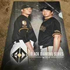 Item thumbnail for item 48622725-0146-4b07-9113-c7a41ec540d7