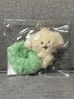 NCT WISH ジェヒ デントリバー バッグ ソウルコン - メルカリ