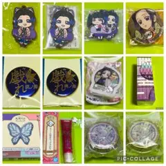 【5/11商品追加】鬼滅の刃【胡蝶しのぶ　セット】