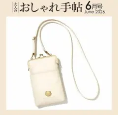 大人のおしゃれ手帖６月号付録