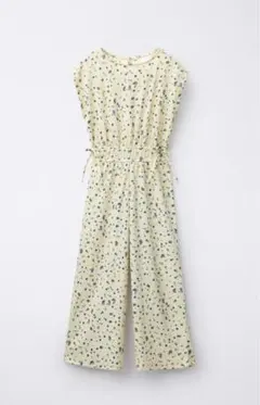 Item thumbnail for item 5466795f-277b-4f3d-a21d-1bddf852d166