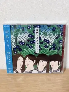 2026年最新】新しい学校のリーダーズ 若気ガイタル CDの人気アイテム