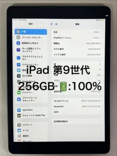 iPad 第9世代 256GB Wi-Fi 美品 中国版 本体のみ