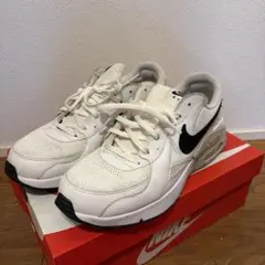 NIKE エアマックス　エクシー　28センチ