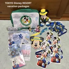 東京ディズニーリゾート (バケーションパッケージ)バケパ グッズ 11点