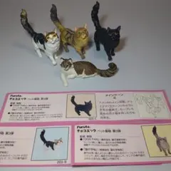 「なな プロフィール一読下さい 様専用」チョコエッグ/チョコQ メインクーン4匹