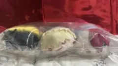 のるキャラマスコット ぬいぐるみ ヒロアカ原画展 原画展グッズ 3体セット