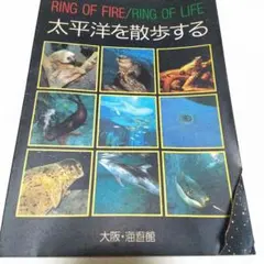 Item thumbnail for item 2f302f54-500d-4c66-b83c-788d062f2304