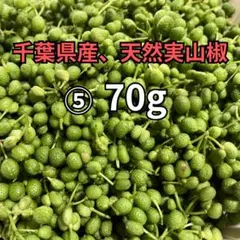 本日も収穫します！山椒の実 100g 新鮮な柔らかい実です 愛媛県産 農薬