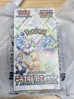 2025年最新】テラスタルフェスex boxの人気アイテム - メルカリ